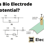 Bio Electrode Potential 生物电极电位